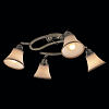 Спот Citilux Прованс CL511143 100_100_1684737