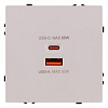 Розетка 2хUSB type A и C без рамки Kollinger Eclipse EC-024CM 100_100_3118750