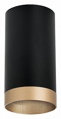 Накладной светильник Lightstar Rullo R43740 400_400_2448386