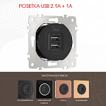 Розетка USB, без рамки Arte Milano am-202 202.46-1.black 250_100_2165989