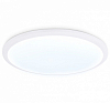 Накладной светильник Ambrella Light FZ FZ1231 100_100_2023938