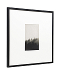 Интерьерный постер Foggy forest 250_100_2846342