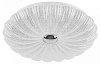 Накладной светильник Lightstar Arco Shell 225640 100_100_2448060
