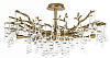 Люстра на штанге Loft it Coral 10351/800C AB 100_100_2423569