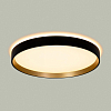 Накладной светильник Citilux ETALON CL750321R 100_100_3148820