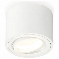 Накладной светильник Ambrella Light XS XS7510001 500_191_2443087