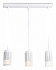 Подвесной светильник Ambrella Light TN TN51698 100_100_2453404