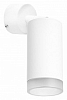 Бра Lightstar Rullo RB43630 100_100_2225814
