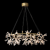 Подвесная люстра Imperiumloft ARIANA ariana01 100_100_2428125