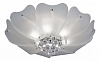 Накладной светильник Lightstar Lobo 804020 100_100_2448203