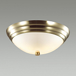 Накладной светильник Lumion Kayla 5262/2C 250_100_1863260