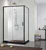 AQ ARI RA 10020BL Душевая дверь двухэлементная, раздвижная1000x2000 профиль черный, стекло прозрачное (AQ NAA 6121-100) 100_100_2407784