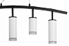 Подвесной светильник Lightstar Rullo LR7353628630 100_100_1716595
