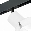 Светильник на штанге Lightstar Rullo PRO3486486 100_100_1717841