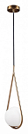Подвесной светильник Loft it Glob LOFT2599-A 250_100_2126925