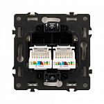 Розетка двойная Ethernet RJ-45 без рамки Arlight SCT 054314 250_100_1603154