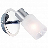 Спот Arte Lamp Cavalletta A4510AP-1SS 100_100_2249014