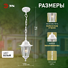 Подвесной светильник Эра  НСУ 06-60-001 белый 100_100_3089264