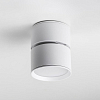 Накладной светильник Lightstar Acuto 215836 100_100_3155519