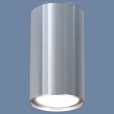 Накладной светильник Elektrostandard 1081 a038491 400_400_2445823