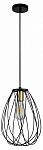 Подвесной светильник Escada Barrie 10180/1S 250_100_1943524