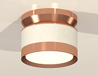Накладной светильник Ambrella Light XS XS8101065 250_100_2012657