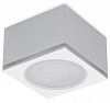 Накладной светильник Ambrella Light TN TN266 100_100_2442321
