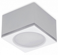 Накладной светильник Ambrella Light TN TN266 500_191_2442321