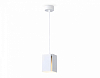 Подвесной светильник Ambrella Light TN TN5122 100_100_2019199