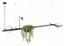 Подвесной светильник Loft it Jardin 10121/C 250_100_1848027