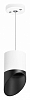 Подвесной светильник Lightstar Rullo RP348687 100_100_1717763