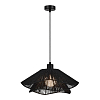 SLE6023-403-01 Светильник подвесной черный/черный E27 1*40W ГОННА 100_100_2954519