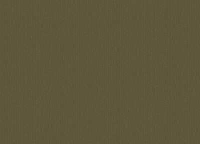 77511 Обои Zambaiti (1*6) 10,05x0,53 винил на флизелине 400_400_2145980