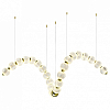 Подвесной светильник Odeon Light Crystal 1 5008/92L 100_100_2463900