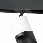 Светильник на штанге Lightstar Rullo PRO348687 250_100_1717866