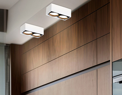 Накладной светильник Ambrella Light TN TN70872 400_400_2024416