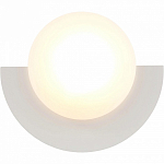 Накладной светильник Lightstar Erica 609636 250_100_1723085