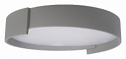 Накладной светильник Loft it Coin 10200 Grey 250_100_Array