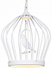 Подвесной светильник Favourite Chick 1931-2P 100_100_2457514