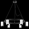 Подвесная люстра Lightstar Rullo LR01636637 100_100_1718121