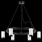 Подвесная люстра Lightstar Rullo LR01636637 250_100_1718121