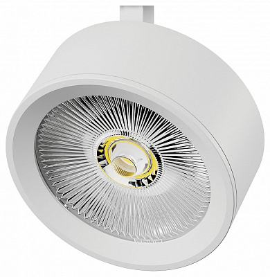 Плафон металлический Lightstar Alta Pro 215636 400_400_2169555