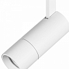 Светильник на штанге Lightstar Volta 229136 100_100_1715324