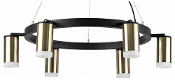 Подвесная люстра Lightstar Rullo LR0163160 250_100_Array