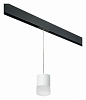 Подвесной светильник Lightstar Rullo PRORP348681 100_100_2460327