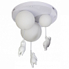 Накладной светильник Loft it Teddy 10030 100_100_2448818
