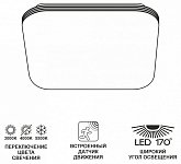 Накладной светильник Citilux Симпла CL714K24SV 250_100_2398156