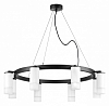 Подвесная люстра Lightstar Rullo LR0183681 100_100_1718402