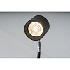 Торшер iLedex TANGO 3082F-1 BK 100_100_2858977
