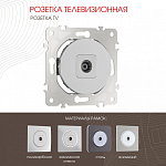 ТВ-розетка без рамки Arte Milano am-202 202.43-1.silver 250_100_2165917